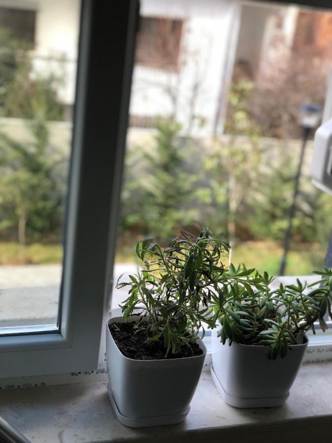 Jon's Duplex Apartament Tirana